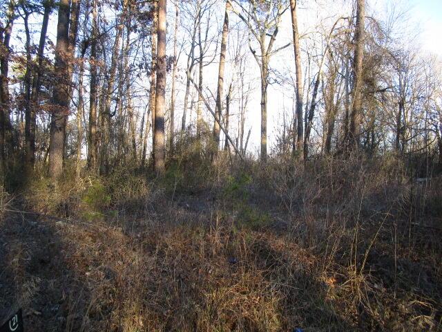 0 Carver Rd, Martinsville, VA 24112