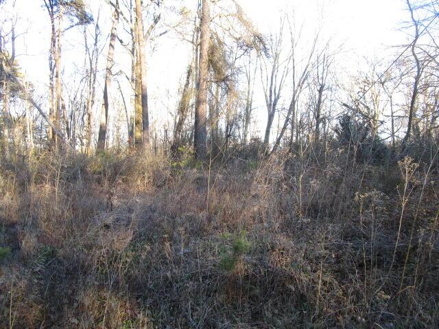 0 Carver Rd, Martinsville, VA 24112
