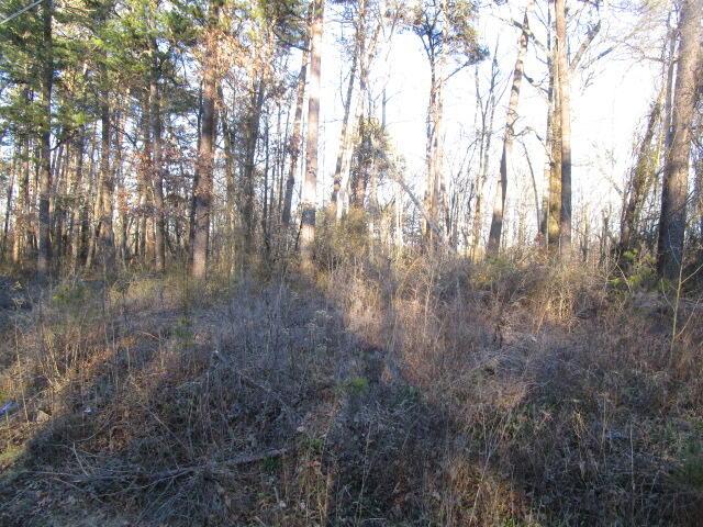 0 Carver Rd, Martinsville, VA 24112