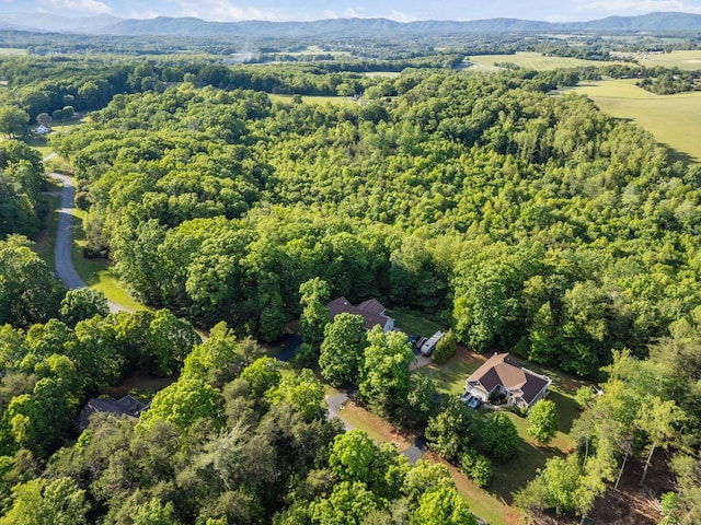 aerial view of property and surrounding area featuring a forest and a mountain backdrop