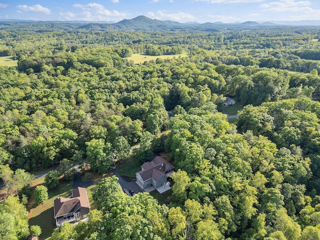 drone / aerial view of a forest and mountains