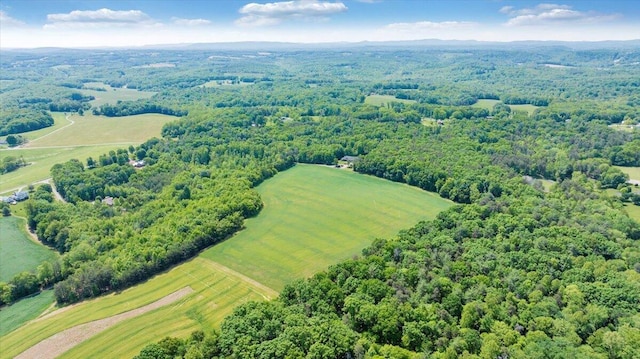23 Alean Rd, Rocky Mount, VA 24151 - bird's eye view of a forest