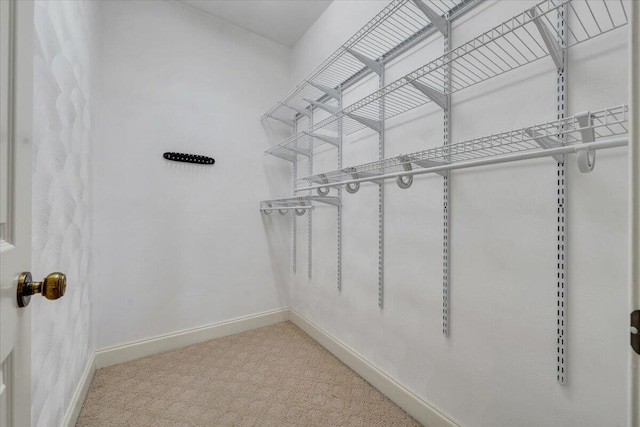 23 Alean Rd, Rocky Mount, VA 24151 - walk in closet featuring carpet flooring