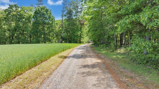 23 Alean Rd, Rocky Mount, VA 24151 - view of dirt / gravel road featuring a forest view