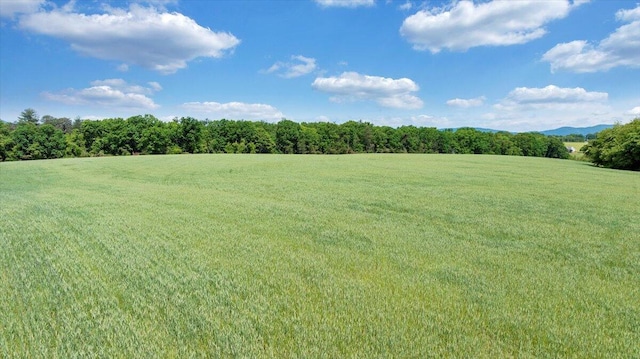 23 Alean Rd, Rocky Mount, VA 24151 - view of green lawn featuring a rural view and a forest view
