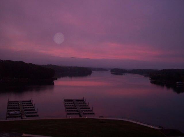 1217 Graves Harbor Trl Unit 119, Huddleston, VA 24104 - water view featuring a boat dock