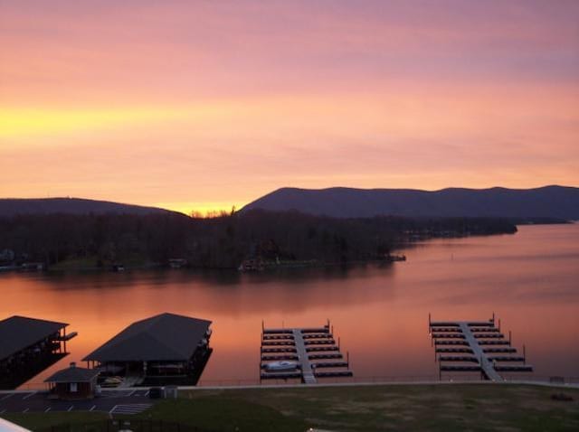 1217 Graves Harbor Trl Unit 119, Huddleston, VA 24104 - dock area with a water and mountain view