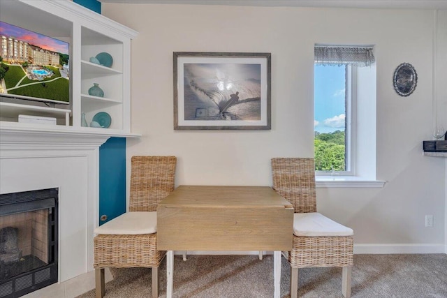 1217 Graves Harbor Trl Unit 119, Huddleston, VA 24104 - living area with carpet floors, baseboards, and a fireplace