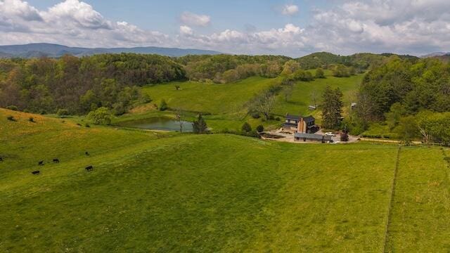 336 Turkey Run Ln, Rural Retreat, VA 24368 - view of rural area featuring a large body of water