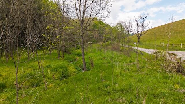 336 Turkey Run Ln, Rural Retreat, VA 24368 - view of nature