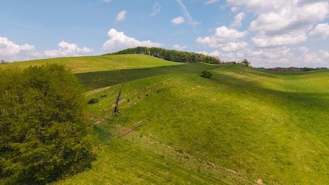336 Turkey Run Ln, Rural Retreat, VA 24368 - aerial view