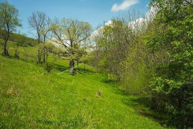 336 Turkey Run Ln, Rural Retreat, VA 24368 - view of nature
