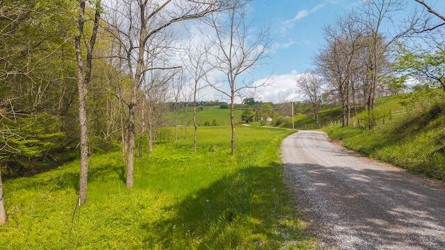 336 Turkey Run Ln, Rural Retreat, VA 24368 - view of dirt / gravel road