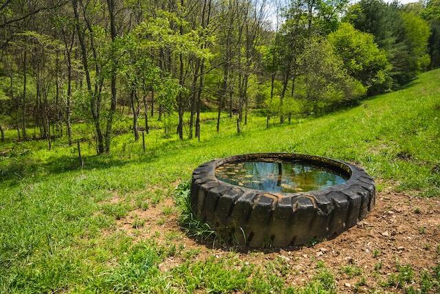 336 Turkey Run Ln, Rural Retreat, VA 24368 - view of yard
