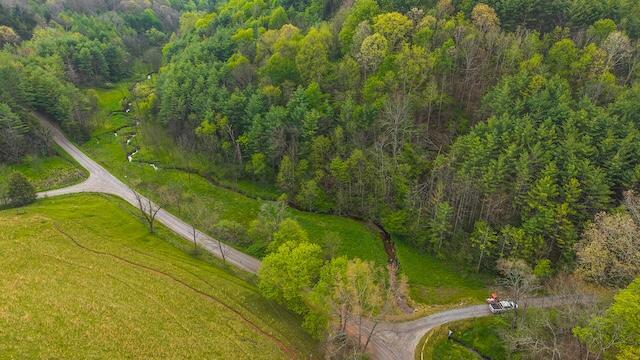 336 Turkey Run Ln, Rural Retreat, VA 24368 - aerial view of property's location with a forest
