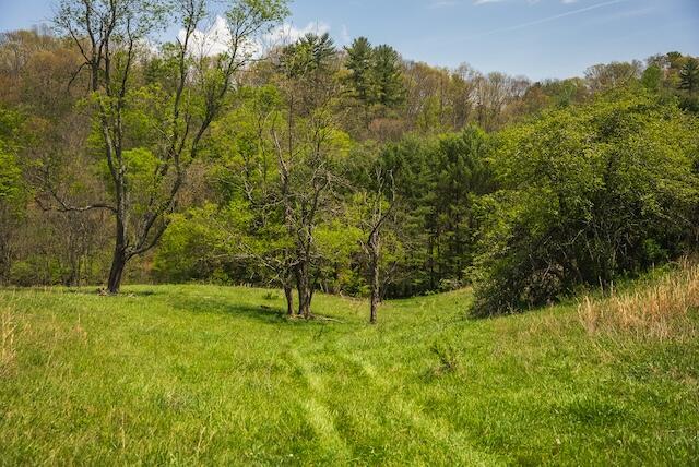 336 Turkey Run Ln, Rural Retreat, VA 24368 - view of woods