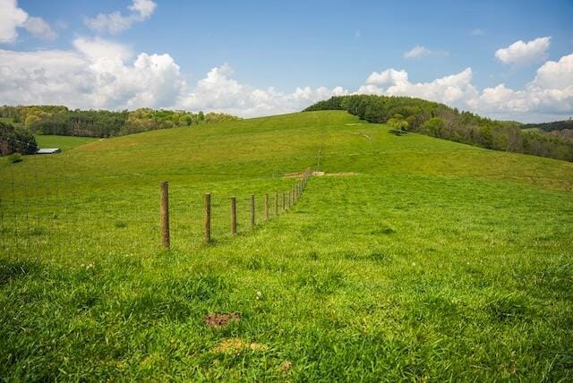 336 Turkey Run Ln, Rural Retreat, VA 24368 - view of grassy yard featuring a rural view