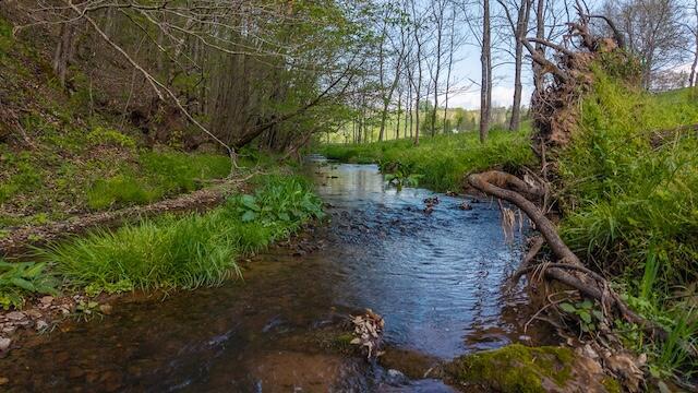 336 Turkey Run Ln, Rural Retreat, VA 24368 - water view