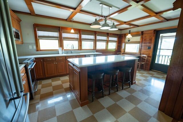 336 Turkey Run Ln, Rural Retreat, VA 24368 - kitchen featuring light floors, coffered ceiling, appliances with stainless steel finishes, a sink, and plenty of natural light