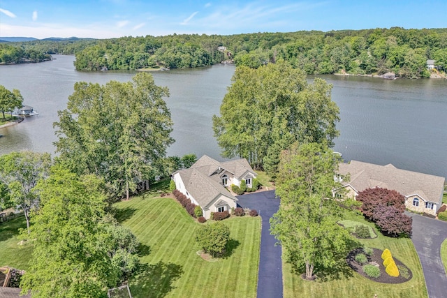 bird's eye view of a nearby body of water and a forest