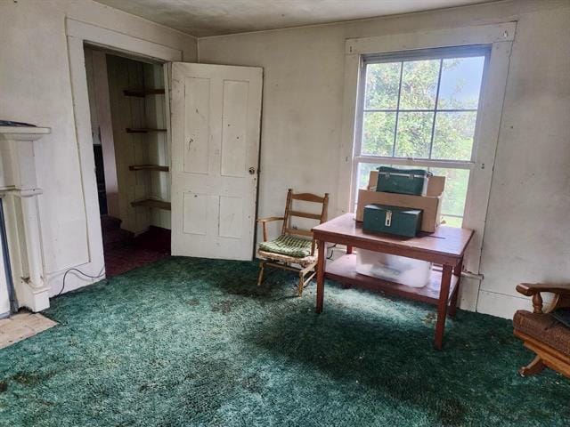 living area with carpet