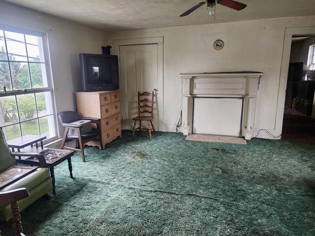 living area with healthy amount of natural light, a ceiling fan, and carpet