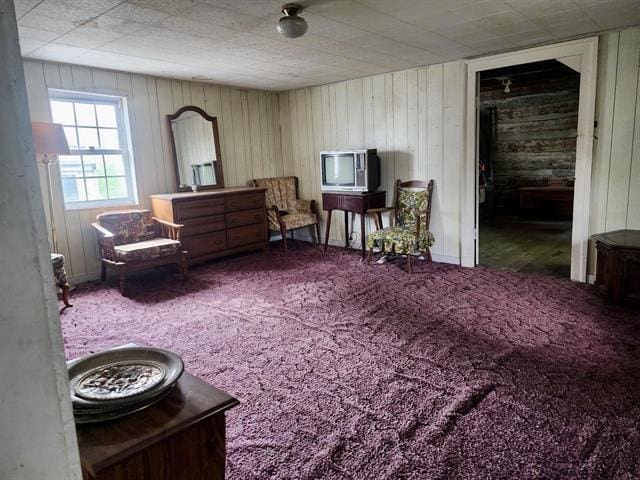 sitting room with wood walls and carpet floors