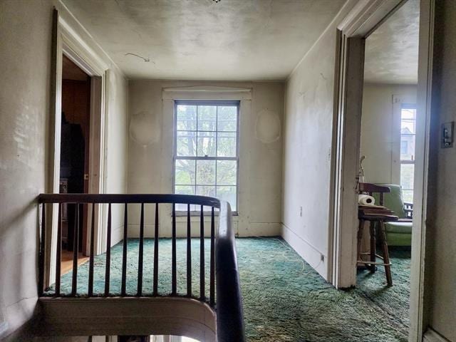 bedroom with carpet flooring