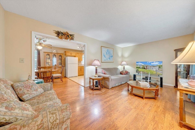 1921 Clinton Ave SE, Roanoke, VA 24013 - living room featuring light wood-style floors and a textured ceiling