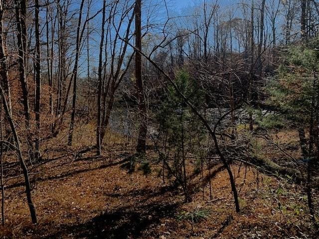 LOT117 Chase Run, Lynch Station, VA 24571