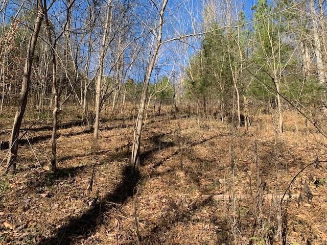 LOT117 Chase Run, Lynch Station, VA 24571