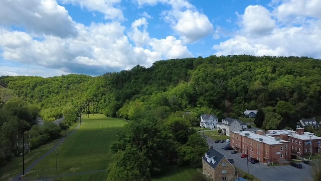 111 Rosedale Ave, Covington, VA 24426 - aerial view of a heavily wooded area