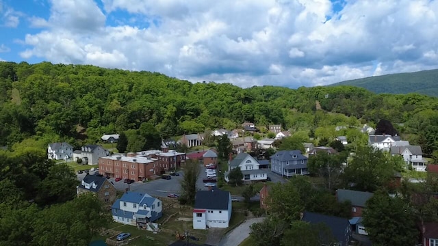 111 Rosedale Ave, Covington, VA 24426 - aerial perspective of suburban area with a forest