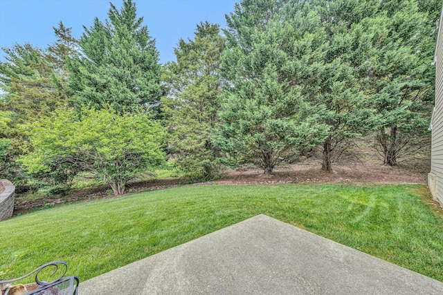 view of grassy yard with a patio area