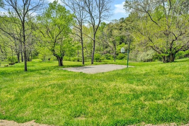 LOT63 Gap Bridge Rd, Moneta, VA 24121