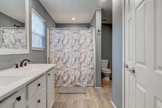 1944 Dickerson Mill Rd, Bedford, VA 24523 - bathroom with wood finished floors, toilet, a shower with curtain, and double vanity