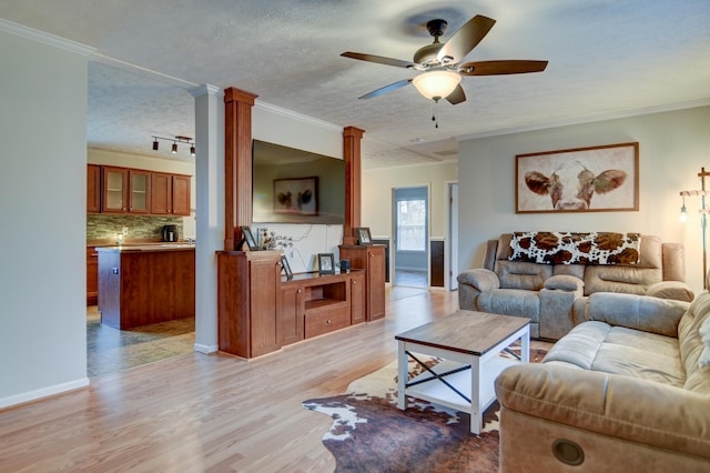 1944 Dickerson Mill Rd, Bedford, VA 24523 - living area featuring ceiling fan, light wood-style flooring, crown molding, decorative columns, and a textured ceiling