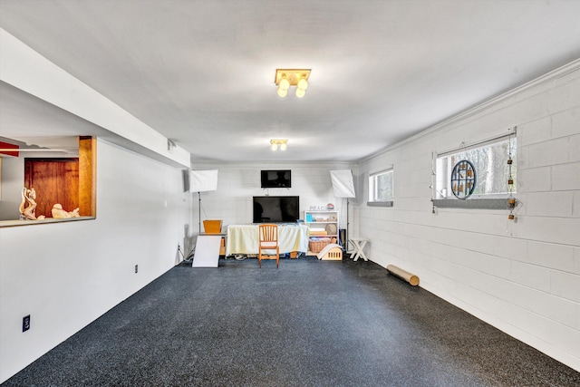 3553 Kidder Ln, Salem, VA 24153 - below grade area with crown molding