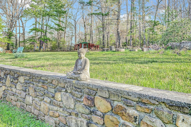 3553 Kidder Ln, Salem, VA 24153 - view of yard