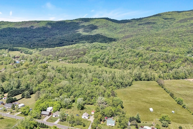 3553 Kidder Ln, Salem, VA 24153 - aerial view of property's location with a forest