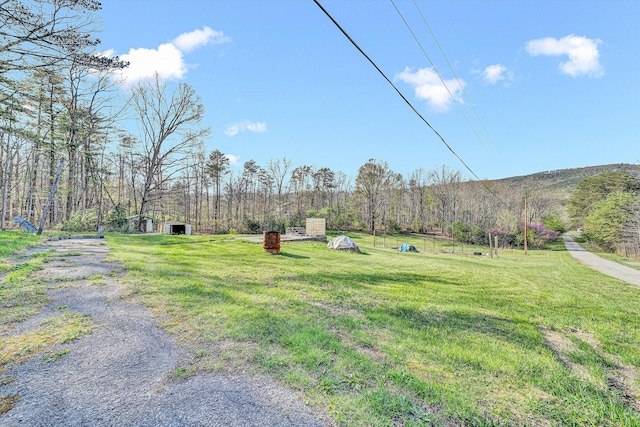 3553 Kidder Ln, Salem, VA 24153 - view of grassy yard