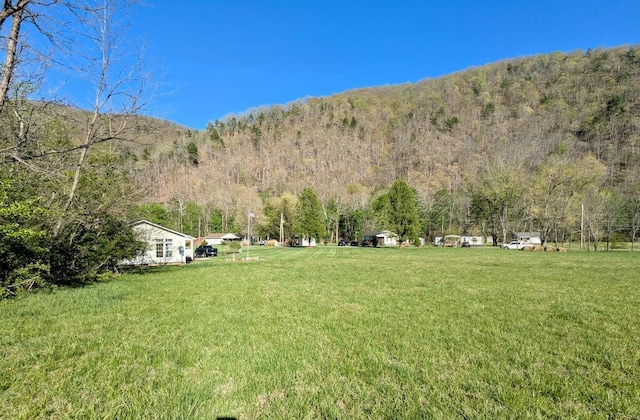 TBD Flick Dr, Shawsville, VA 24162