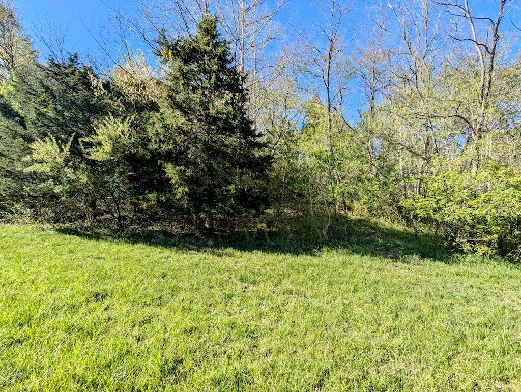 TBD Flick Dr, Shawsville, VA 24162