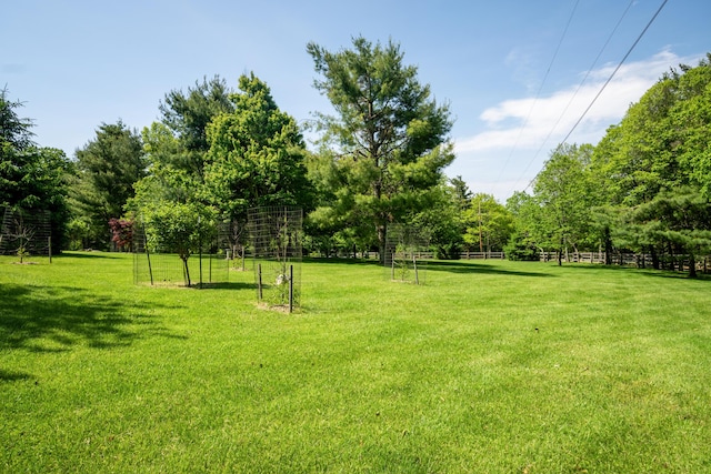493 Pops Peak Rd, Fancy Gap, VA 24328 - view of green lawn