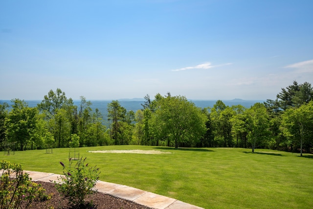 493 Pops Peak Rd, Fancy Gap, VA 24328 - view of green lawn
