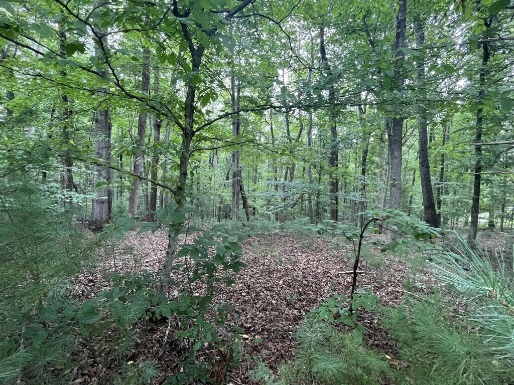 0 Storey Creek Ln, Rocky Mount, VA 24151