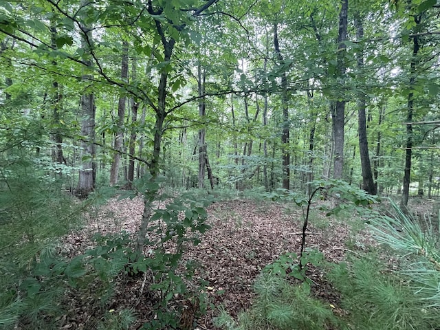 0 Storey Creek Ln, Rocky Mount, VA 24151