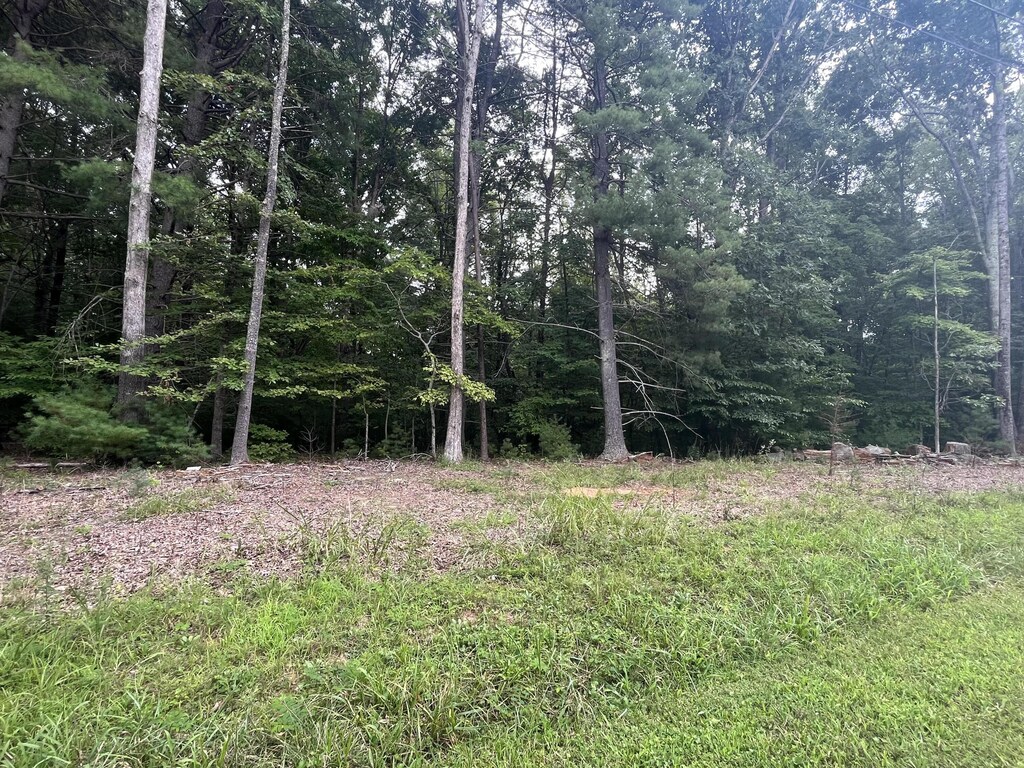 0 Storey Creek Ln, Rocky Mount, VA 24151