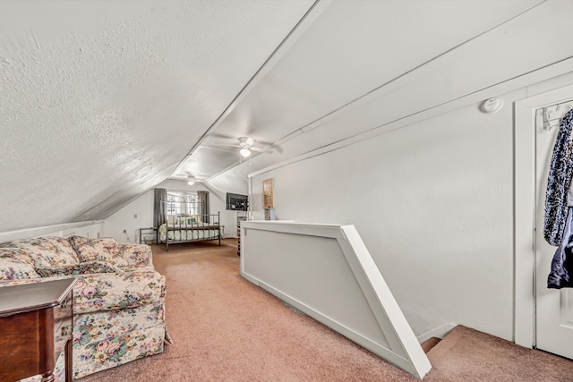 2515 Colonial Ave SW, Roanoke, VA 24015 - bedroom with vaulted ceiling, a textured ceiling, and light colored carpet