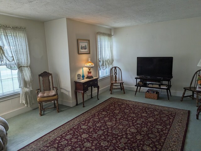 1987 Franklin St, Rocky Mount, VA 24151 - living area featuring a textured ceiling, plenty of natural light, carpet floors, and baseboards